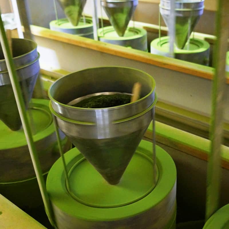 About Matcha Zen Green Tea