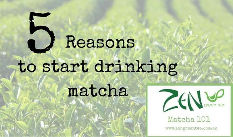 5 Reasons to Start Drinking Matcha Green Tea Powder